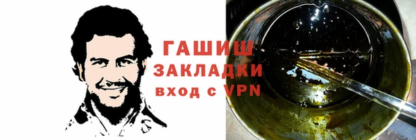 ГАЛЛЮЦИНОГЕННЫЕ ГРИБЫ Гусев