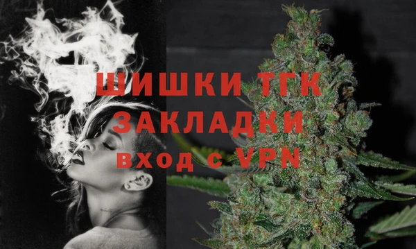 ECSTASY Вяземский