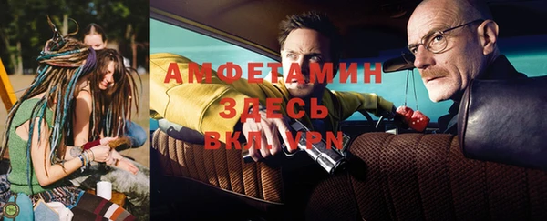 ГАЛЛЮЦИНОГЕННЫЕ ГРИБЫ Гусев
