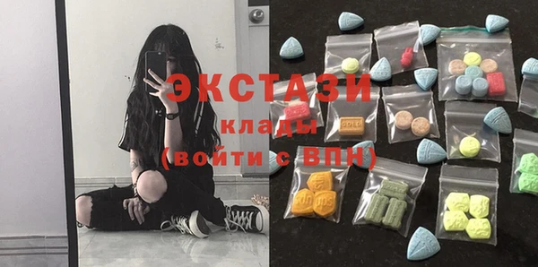 ГАЛЛЮЦИНОГЕННЫЕ ГРИБЫ Гусев