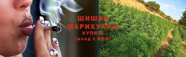 ECSTASY Вяземский