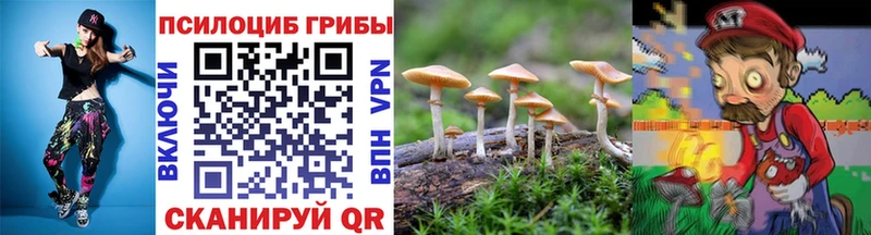 OMG зеркало  Ельня  Галлюциногенные грибы мухоморы 